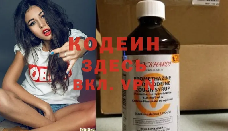 где можно купить наркотик  Ишим  Кодеиновый сироп Lean Purple Drank 